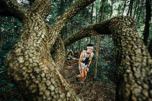 BIB: 
                            <button type="button" onclick="openModal(25393099)" class="btn btn-primary btn-sm float-right btn-popup" data-toggle="modal" data-target=".modal-high-quality">
                        <i class="fas fa-shopping-cart"></i> Add to Cart
                    </button>
                                            <button type="button" onclick="isThisMe(25393099, true)" class="btn btn-success btn-sm float-right btn-popup btn-isme hidden" data-toggle="tooltip" data-placement="bottom" title="นี่คือรูปของคุณใช่ไหม คลิกที่นี่เพื่อเอาเข้าอัลบั้ม">
                        <i class="fas fa-plus"></i> Add to album
                    </button>
                    <button type="button" onclick="isThisMe(25393099, false)" class="btn btn-warning btn-sm float-right btn-popup btn-isnotme hidden">
                        <i class="fas fa-ban"></i> Remove from album
                    </button>